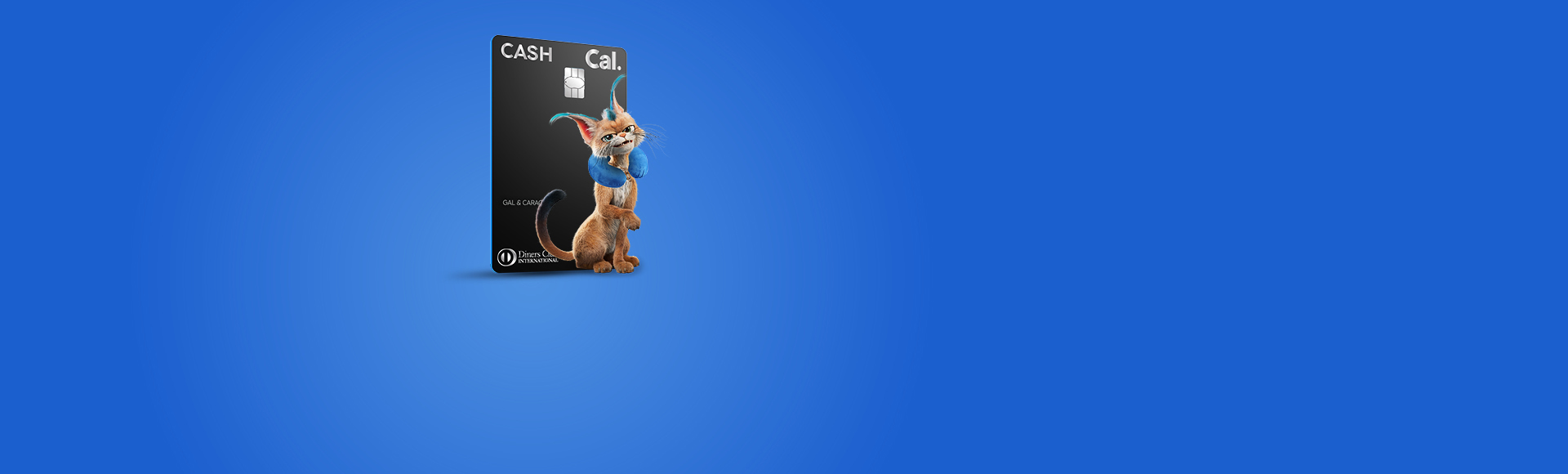 CashCal Pro