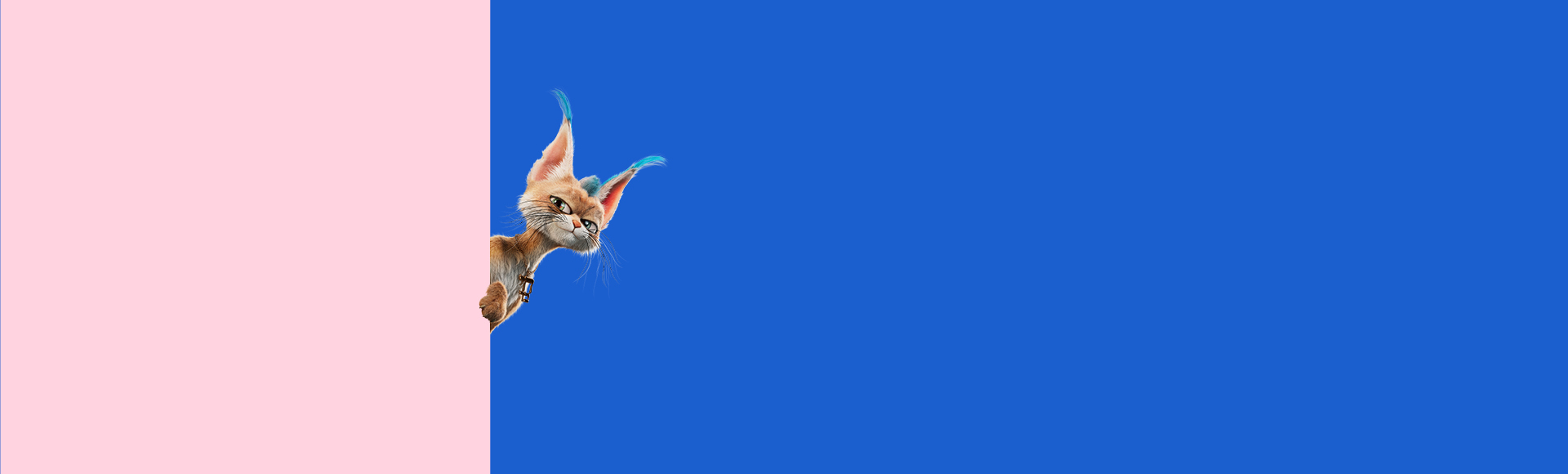 הלוואה מהירה